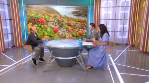 И ягоды набрать, и в трясине не увязнуть. Правила тихой охоты в топких болотистых местах