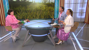 Босоногая обувь – модное поветрие или реальная польза для здоровья?