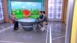 Слизни атакуют! Чем опасны всеядные пришельцы с юга Европы и как их можно обмануть