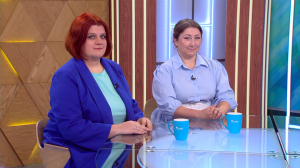 Каждой собаке — свой домик: в Петербурге готовят городской фестиваль помощи безнадзорным животным «People Paws Fest»