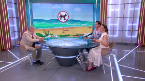 Где собакам место: с 1 сентября запретят выгул домашних животных на пляжах