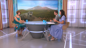 Заядлый интроверт, красивый отшельник и, пожалуй, самый пушистый представитель семейства кошачьих — манул. Итоги экспедиции специалистов Ленинградского зоопарка на Алтай