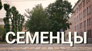 «Петербургский текст». Семенцы