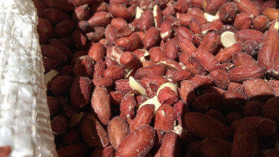 Свыше 80 тонн арахиса из Индии не пустили в Петербург