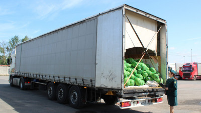 В Петербург прибыли первые в этом году арбузы из Узбекистана