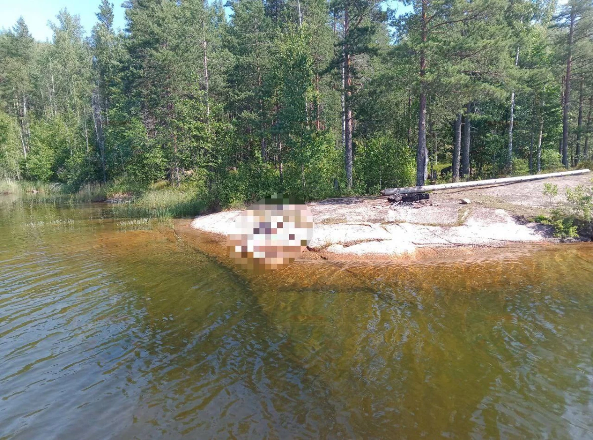 В озере под Приозерском утонул человек - tvspb.ru