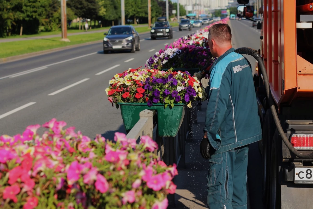 За неделю в Петербурге полили 244 тысячи квадратных метров цветников - tvspb.ru