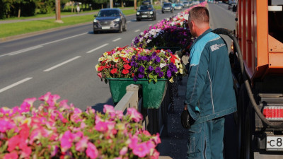 За неделю в Петербурге полили 244 тысячи квадратных метров цветников