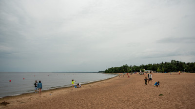 Роспотребнадзор: в Петербурге нет безопасных водоемов