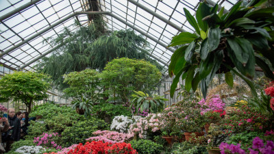 Ботанический сад сократил работу оранжерей из-за жары