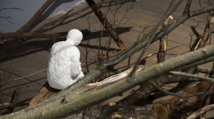 Культурная эволюция. 26 июля