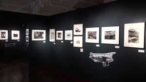 no comments. Выставка «Крылья России» в выставочном центре РОСФОТО