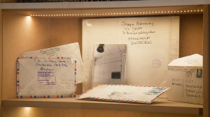 Вторая часть проекта «Небытие на свету» в Фонтанном Доме