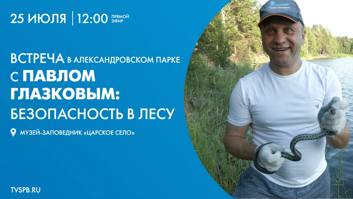 Павел Глазков расскажет о правилах безопасности в лесу в онлайн-трансляции - tvspb.ru