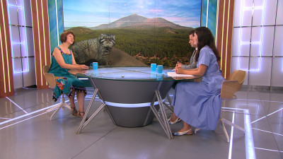 Специалисты Ленинградского зоопарка изучили манулов в экспедиции на Алтае