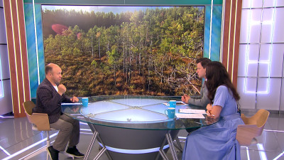 Биолог Глазков перечислил правила тихой охоты в болотистых местах