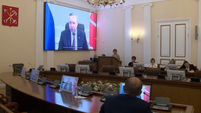 Популярность «со знаком минус» и мошенничество: в Смольном обсудили проблему информационной незащищенности несовершеннолетних