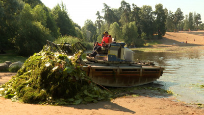 Пляж, зона отдыха и растения: как Петербург планирует благоустроить Суздальские озёра
