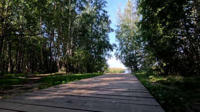 Юнтоловскому заказнику в Приморском районе исполнилось 35 лет