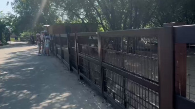 Благодаря новой ограде разглядывать водоплавающих птиц в Ленинградском зоопарке стало удобнее