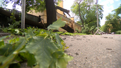 В Петербурге ураган повалил около 300 деревьев