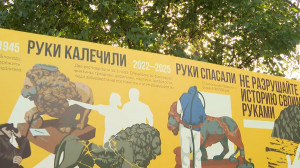 Если просто любоваться — они проживут дольше: плакаты против вандализма появились у львов на Адмиралтейском спуске