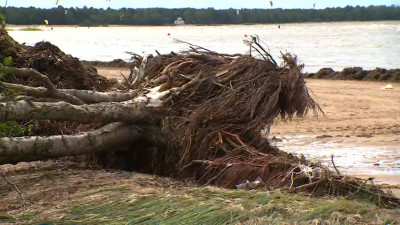В Курортном районе устраняют последствия непогоды