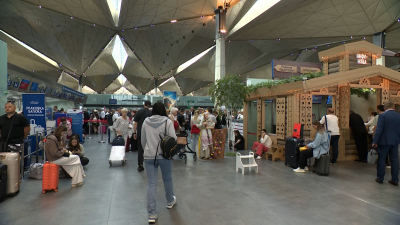 Стабилизация расписания и новые рекорды: как Пулково возвращается к штатному режиму работы после снятия ограничений