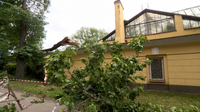 В Петербурге оценили общий урон, нанесенный североатлантическим циклоном «Енгин»