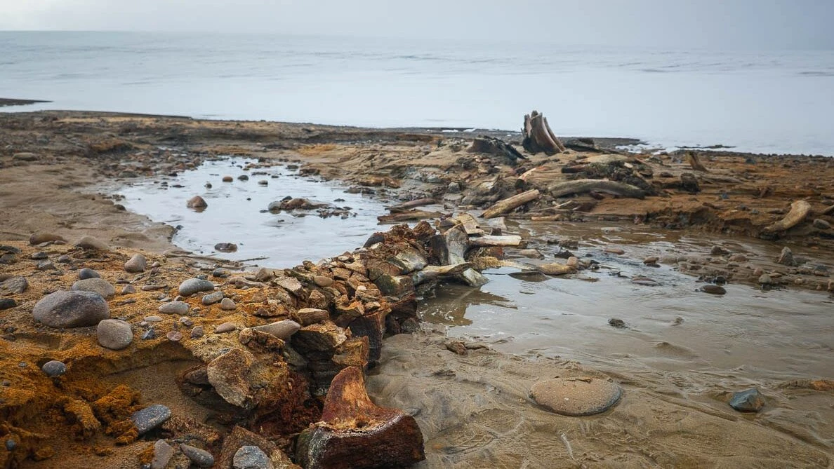 Находка учёных ААНИИ подтверждает, что климат резко менялся и без влияния человека - tvspb.ru