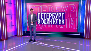 Спасение аистиного семейства, прорывная компания грибов, звуки орехов и фото с выдержкой больше года: о чём рассказывали петербуржцы в соцсетях