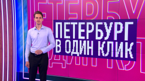 Флот-такси и Сахара на Васильевском, свежая морошка, лось на рыбалке и самый верующий котик — о чём рассказывали петербуржцы в соцсетях