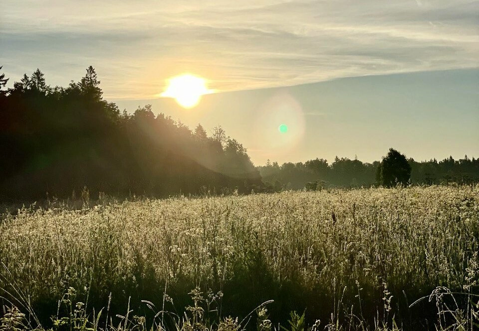Правительство РФ выделит более 60,5 млрд рублей на субсидирование льготных кредитов для сельхозпроизводителей - tvspb.ru