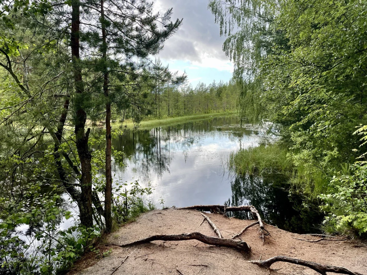 «Сонный» туризм и болотинг: россияне назвали самые необычные тренды отдыха лета - tvspb.ru