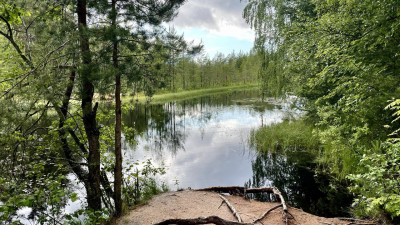 «Сонный» туризм и болотинг: россияне назвали самые необычные тренды отдыха лета