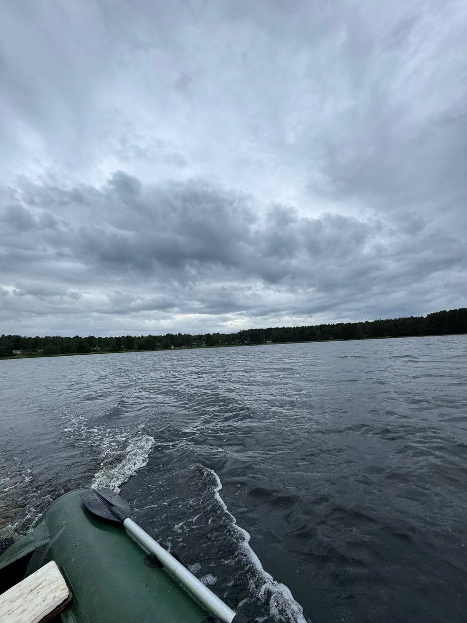 Петербуржец выловил из реки Волхов двухметрового сома - tvspb.ru