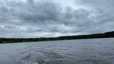 Петербуржец выловил из реки Волхов двухметрового сома