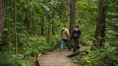 Александр Беглов: Начали обустраивать новый экомаршрут – «Озерную тропу»