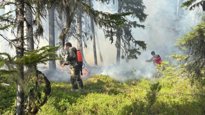 В Карелии за сутки потушили десять лесных пожаров