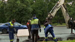 Масштабный ремонт Каменноостровского проспекта