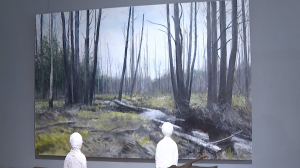 Волшебный лес и не только: четыре ярких художественных проекта в Музее современного искусства XX-XXI веков