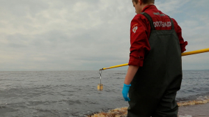 Где купаться можно?