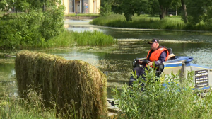 Чтобы воды Петербурга были чистыми