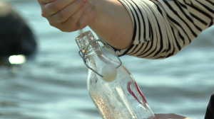 Вам письмо…  в бутылке. Как старинная традиция отправлять послания по морским волнам находит отклик в днях сегодняшних