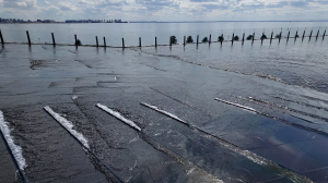 Лучшие морские виды с новых набережных и общественный пространств