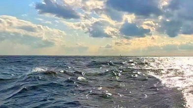 Женщину с ребёнком на сапе унесло в Финский залив - tvspb.ru