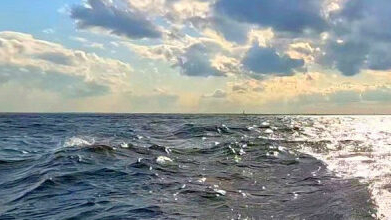 Женщину с ребёнком на сапе унесло в Финский залив