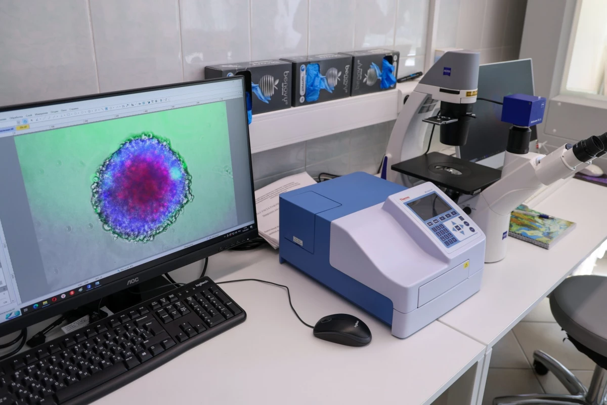 Александр Беглов: Петербург и Беларусь объединяют усилия в создании революционной клеточной вакцины от рака, индивидуальной для каждого пациента - tvspb.ru