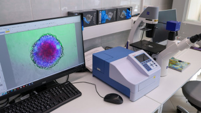 Александр Беглов: Петербург и Беларусь объединяют усилия в создании революционной клеточной вакцины от рака, индивидуальной для каждого пациента