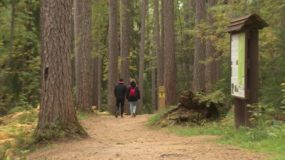 Девять петербургских проектов стали победителями первого конкурса Президентского фонда природы